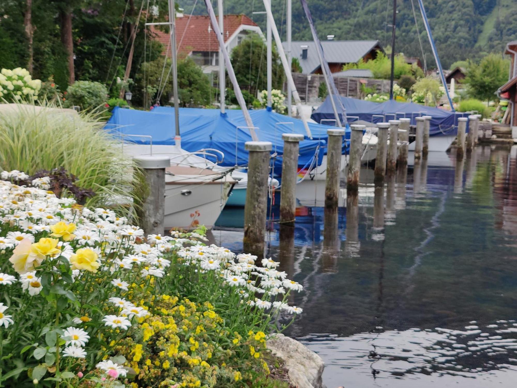 Wohnen Am See Villa Schroetter Direkt Am Traunsee Rindbach Ngoại thất bức ảnh