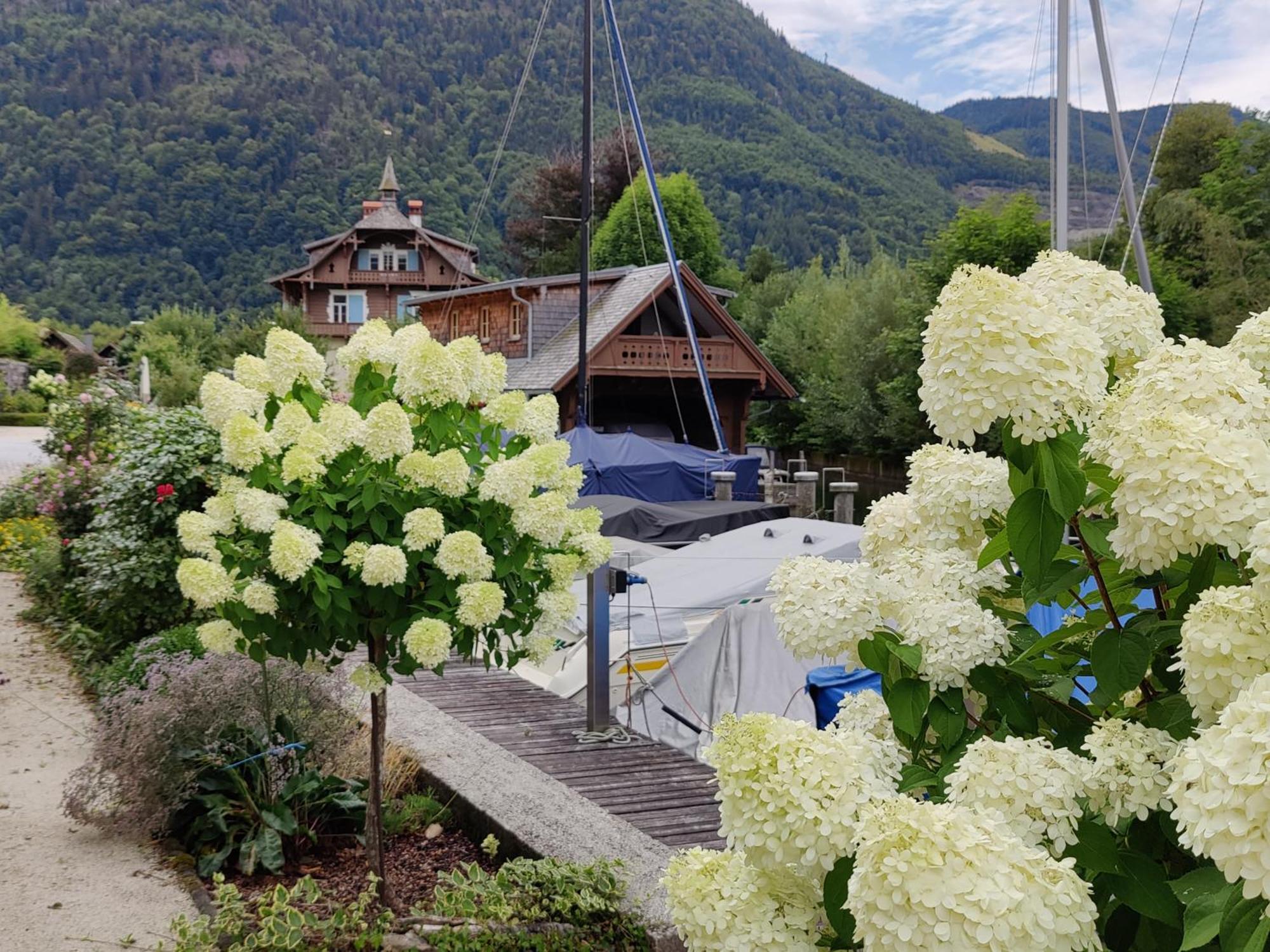 Wohnen Am See Villa Schroetter Direkt Am Traunsee Rindbach Ngoại thất bức ảnh