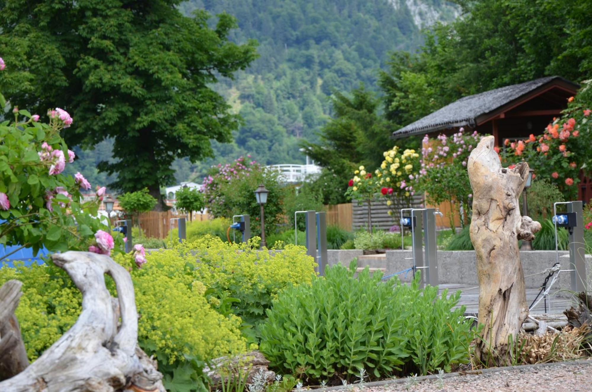 Wohnen Am See Villa Schroetter Direkt Am Traunsee Rindbach Ngoại thất bức ảnh